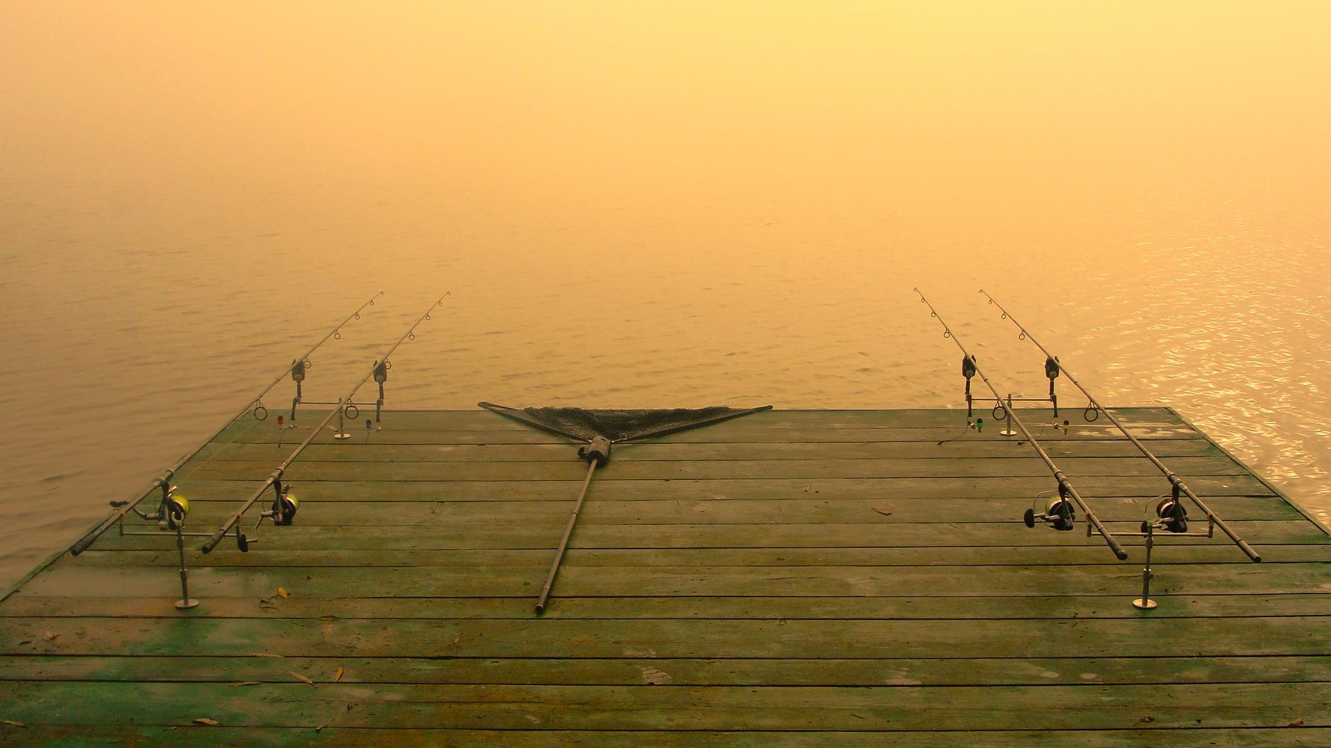 Moara Vlasiei 2 9 - 9 nov. - dsc02921.JPG